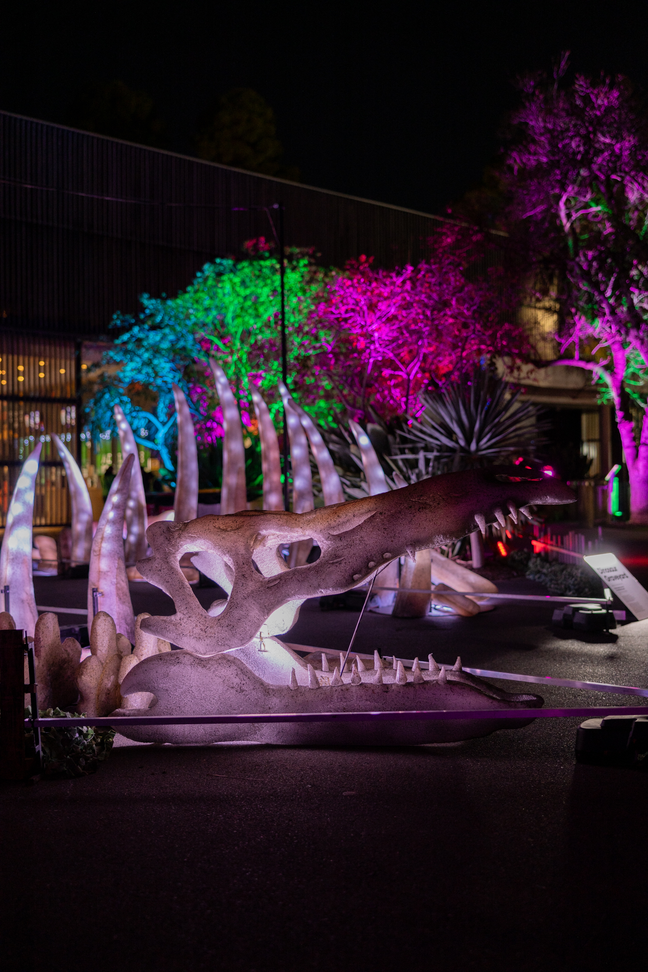 An awe-inspiring display of colour, lights and sound